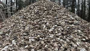 Ottawa adds seed imports, licence buybacks to P.E.I. oyster aid