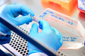 Zealand Pharma shares tumble as safety data hit drug hopes