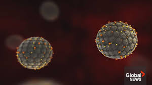 Suspected Hantavirus Outbreak Leaves 3 Dead on MV Hondius