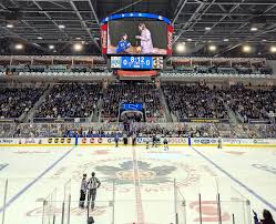 هواداران Toronto Sceptres برای برندینگ دائمی تیم در Coca‑Cola Coliseum فشار می‌آورند