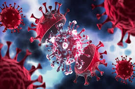 چرا ردیابی هانتاویروس MV Hondius شبیه هشدارهای دورهٔ کووید نیست